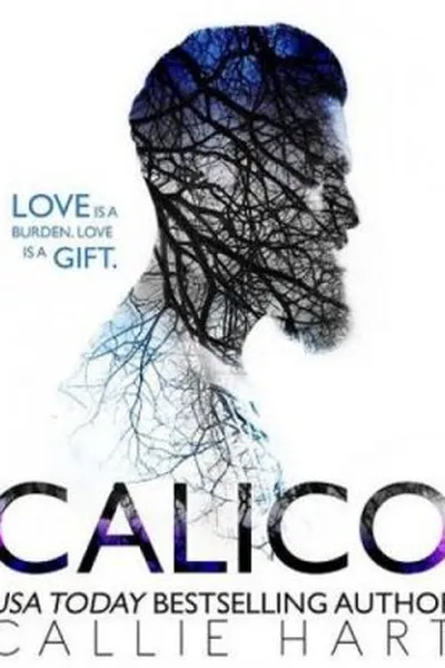 Cover of Calico