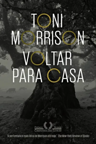 Cover of Voltar para casa