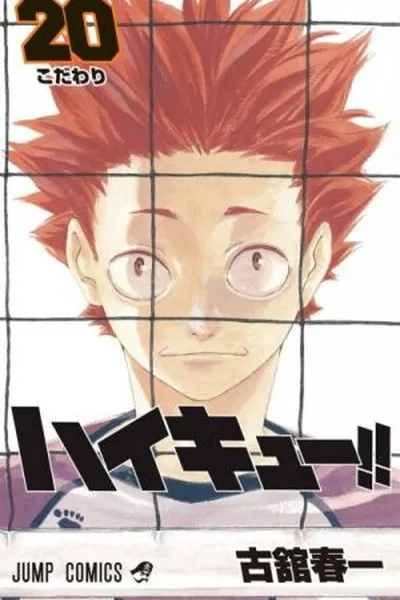 Cover of Haikyuu!! #20