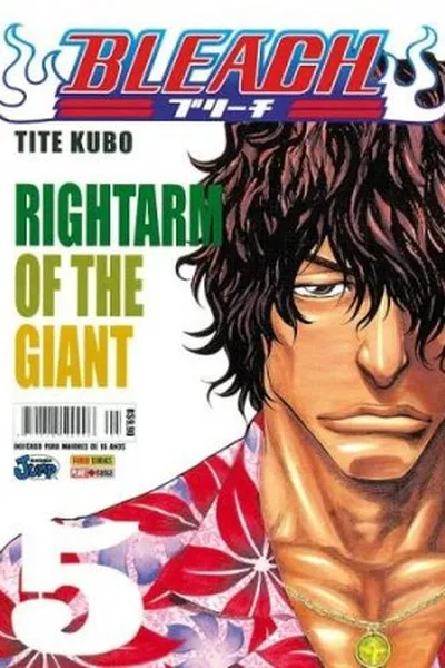 Cover of Bleach #05