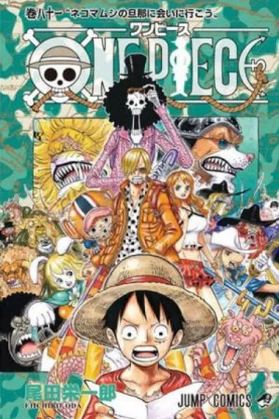 Cover of One Piece #81