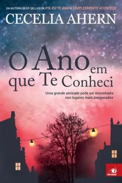 Cover of O Ano em que Te Conheci