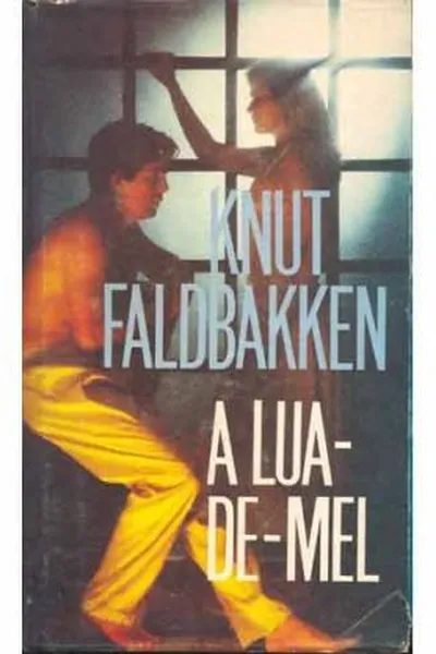Cover of A Lua de Mel