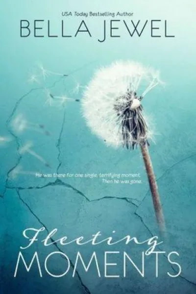 Cover of Fleeting Moments