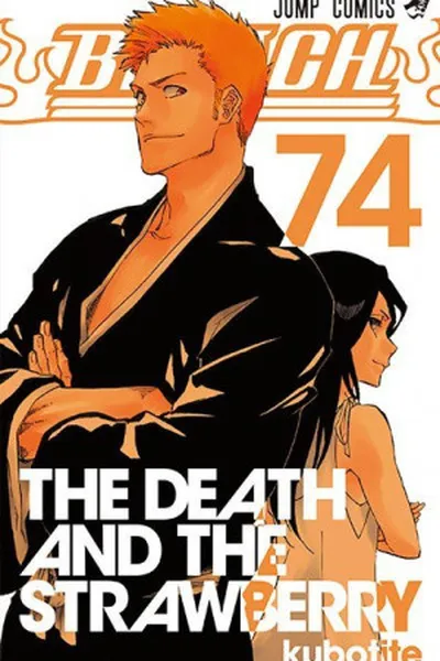 Cover of Bleach #74