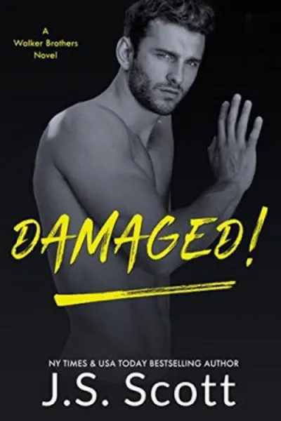 Cover of Damaged!