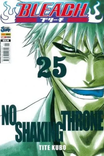 Cover of Bleach #25