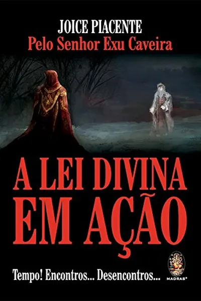 Cover of A Lei Divina em Ação. Tempo! Encontros... Desencontros...