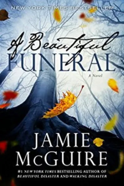 Cover of A Beautiful Funeral
