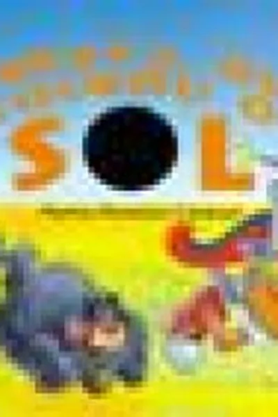 Cover of A Bruxa que Roubou o Sol