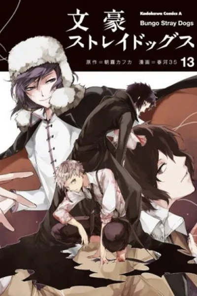 Cover of Bungou Stray Dogs #13