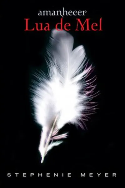 Cover of Amanhecer 1.5