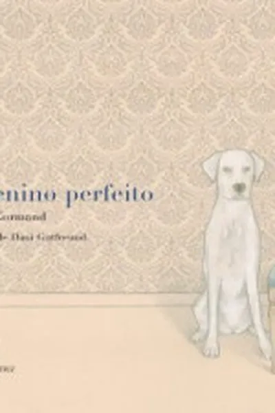 Cover of O Menino Perfeito
