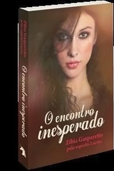 Cover of Um encontro inesperado