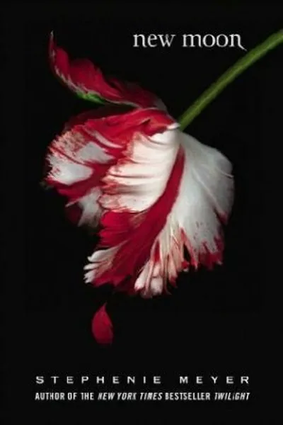 Cover of New Moon