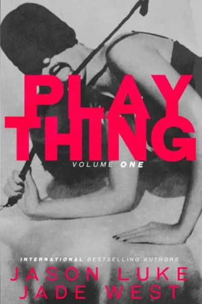 Cover of Plaything