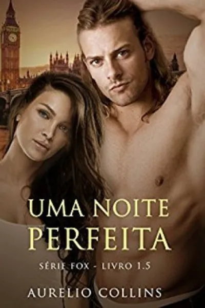 Cover of Uma noite perfeita