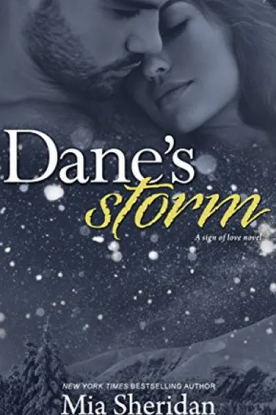 Cover of Dane's Storm