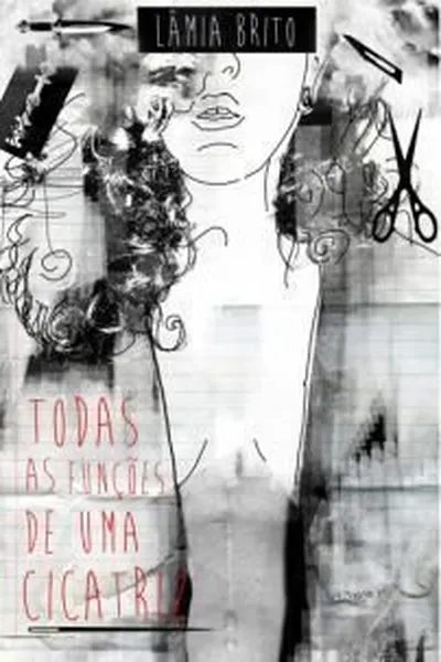 Cover of Todas as funções de uma cicatriz