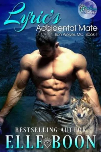 Cover of Lyrics Accidental Mate