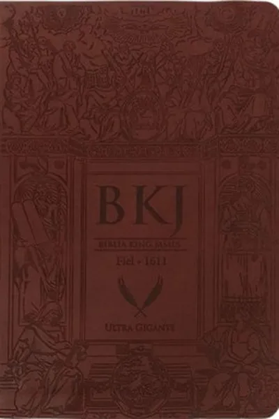 Cover of Bíblia King James