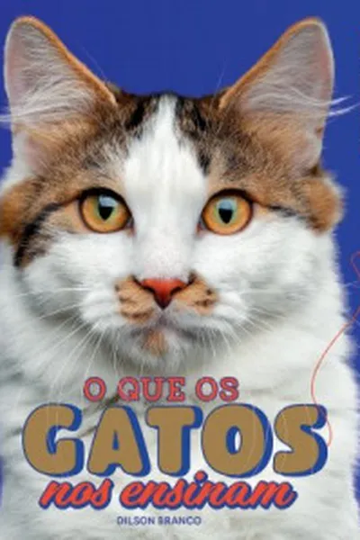 Cover of O que os gatos nos ensinam