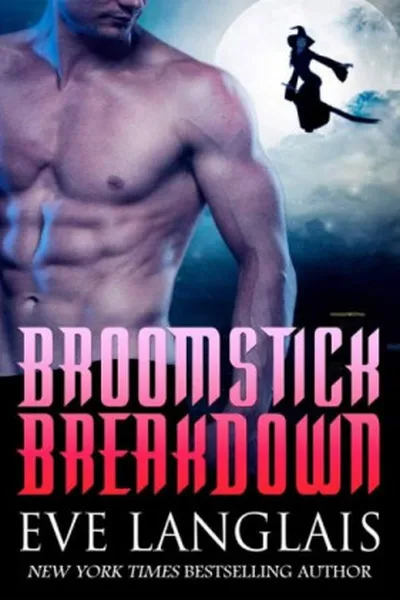 Cover of Broomstick Breakdown
