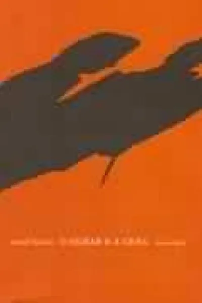 Cover of O Olhar e a Cena