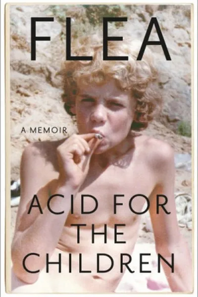 Cover of Acid for the Children