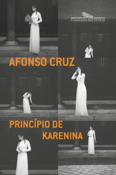 Cover of Princípio de Karenina