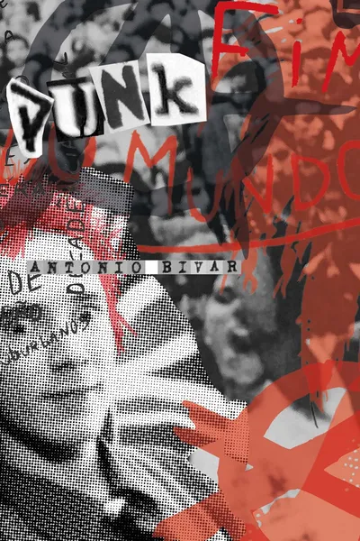 Cover of Punk