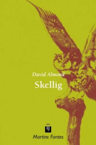 Cover of Skellig