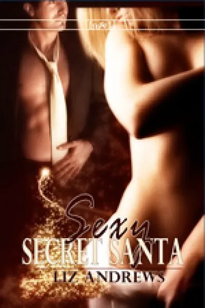 Cover of Sexy e Secreto Papai Noel