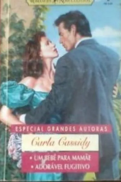 Cover of Um Bebê para Mamãe