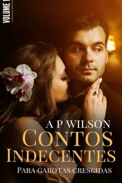 Cover of Contos Indecentes para Garotas Crescidas
