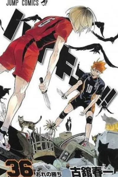Cover of Haikyuu!! #36
