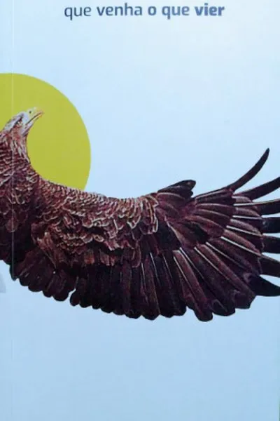 Cover of Que venha o que vier