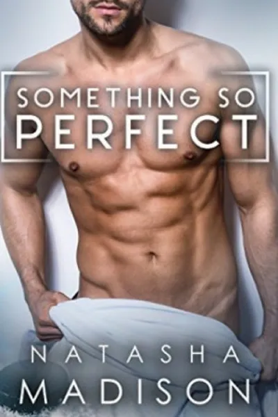 Cover of Something So Perfect