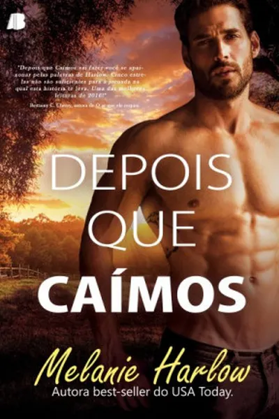 Cover of Depois que Caímos