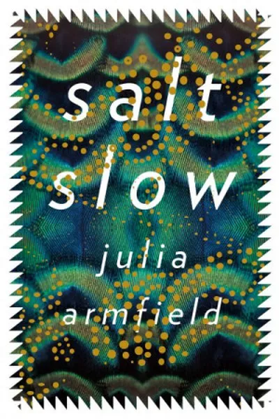Cover of salt slow