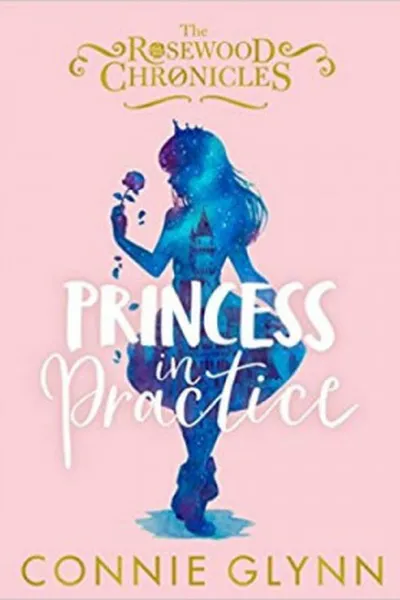 Cover of Princess in Practice