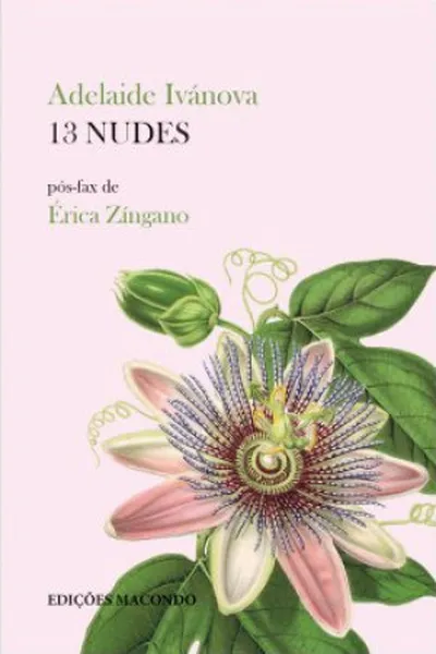 Cover of 13 nudes