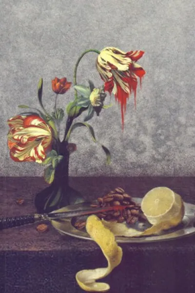 Cover of Max Havelaar