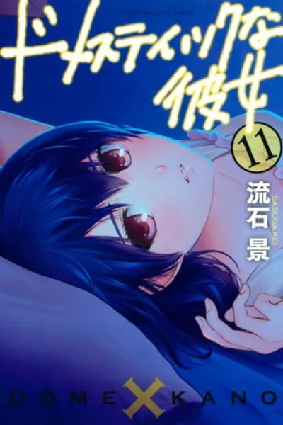 Cover of Domestic na Kanojo #11