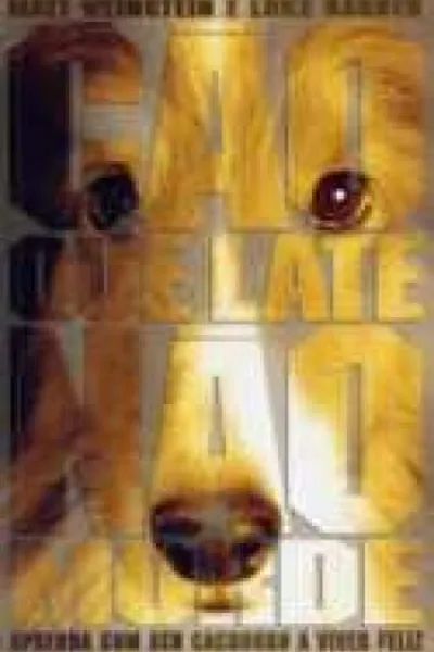 Cover of Cão que Late Não Morde