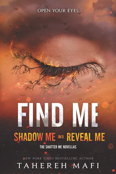Cover of Find Me