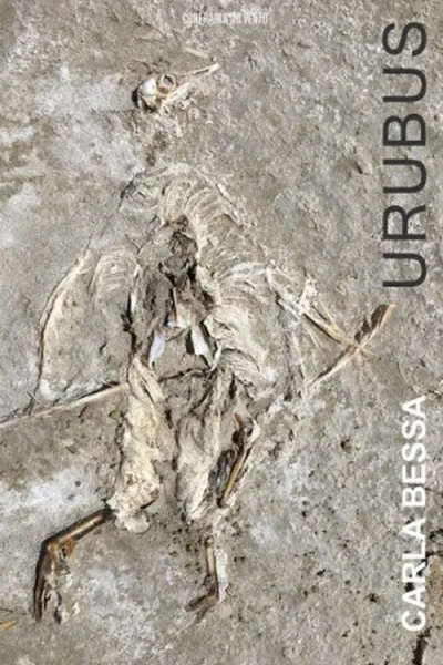 Cover of Urubus