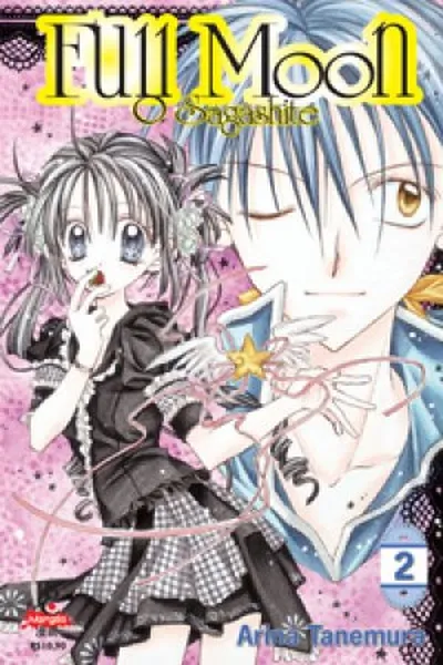 Cover of Full Moon Sagashite