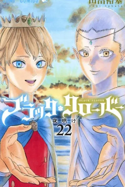 Cover of Black Clover #22
