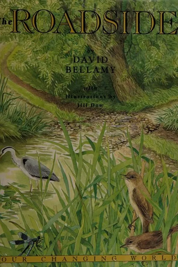 Capa de The roadside